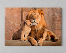 Quadro Decorativo  Leões  - Em Canvas