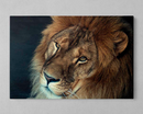 Quadro Decorativo  Leões  - Em Canvas