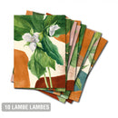 Lambe Lambes Botânicos Floral Vintage