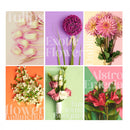 Lambe Lambes Floral Fotos