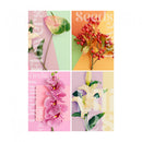 Lambe Lambes Floral Fotos