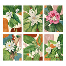 Lambe Lambes Botânicos Floral Vintage