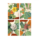 Lambe Lambes Botânicos Floral Vintage