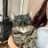 Máscara Batman para Gato Impressa em 3D